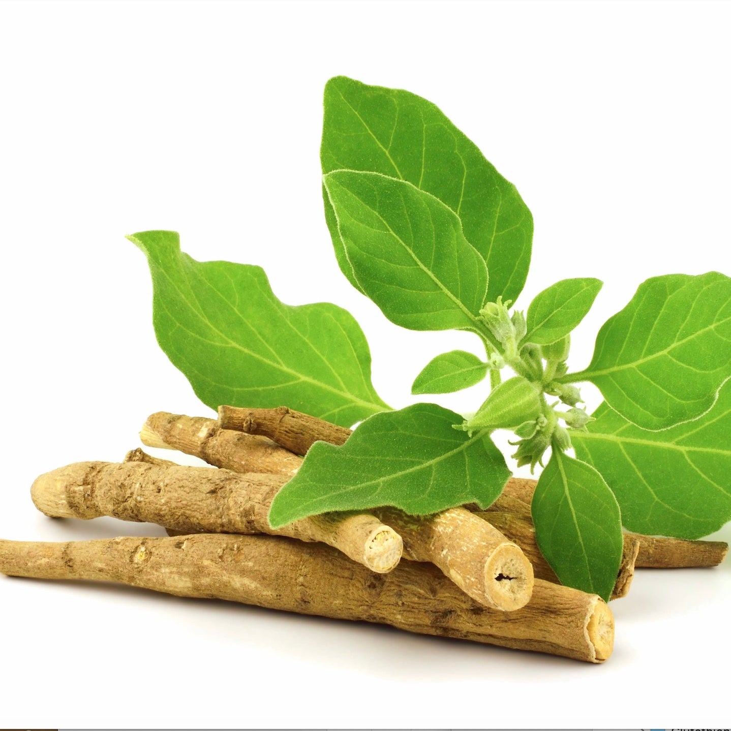 Ashwaganda